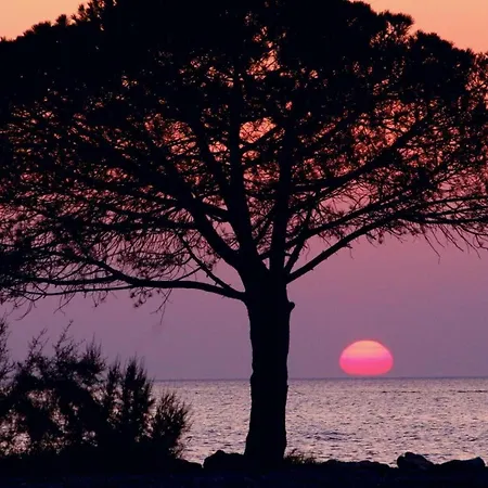 Floating Sea House Miramare Semesterbostad