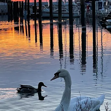 Floating Sea House Miramare Feriehus Portorož