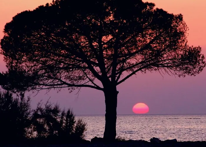 Floating Sea House Miramare Σπίτι διακοπών